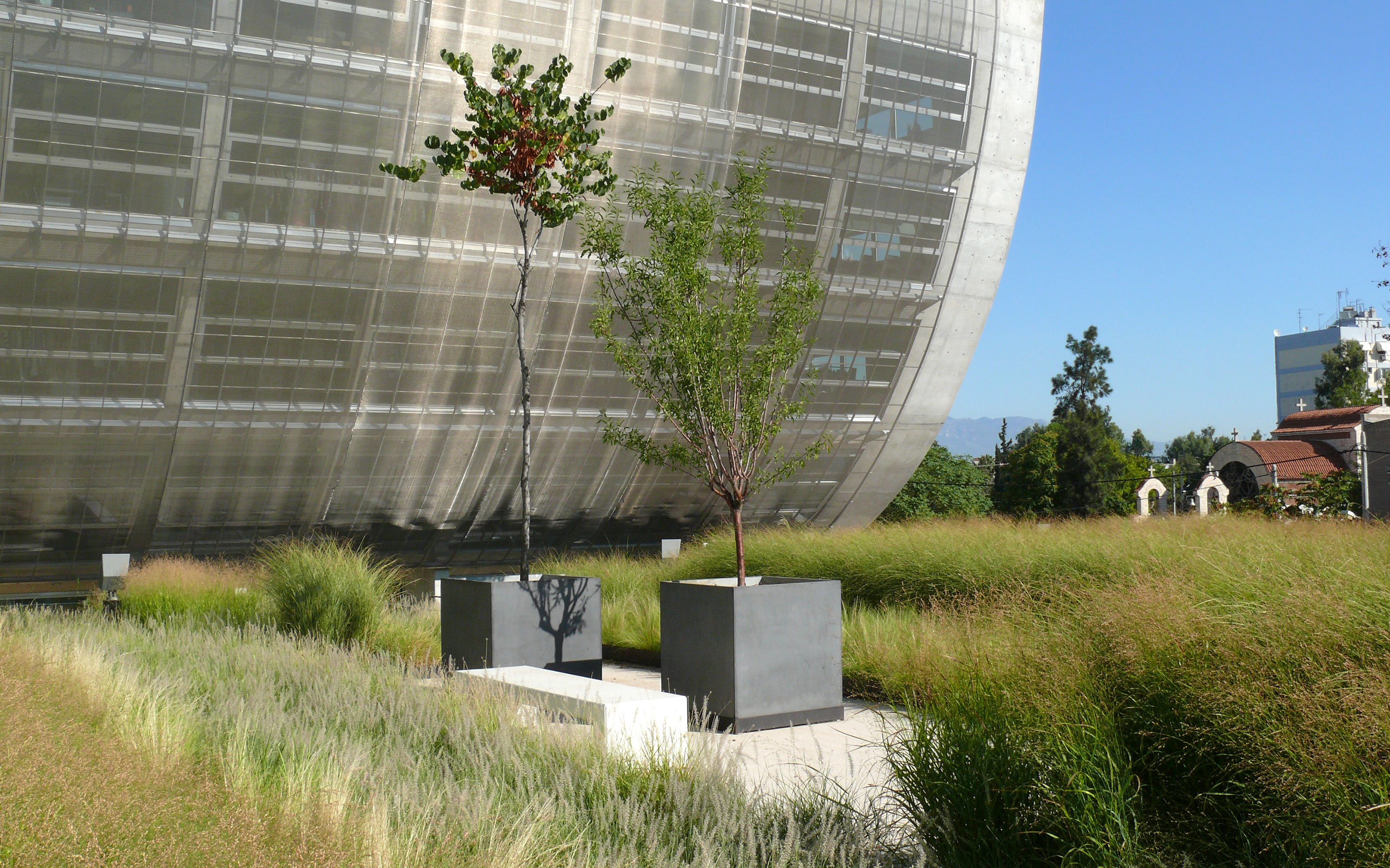 Roof garden with ornamental grasses, planters and paved areas